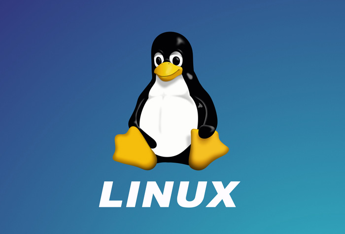 Linux 實用指令